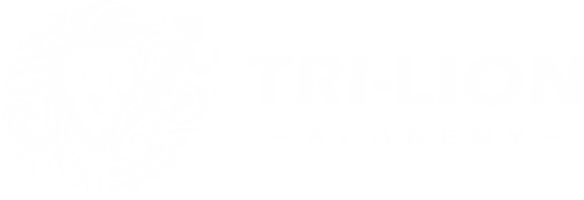 TRI-ACADEMY Logo